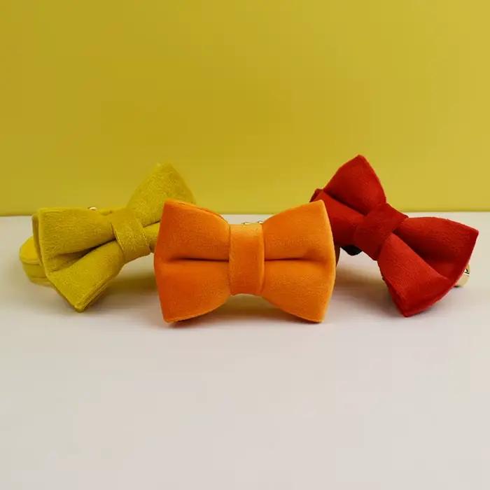 Collier pour chat en velours personnalisé avec étiquette d'identification, collier pour chaton avec 