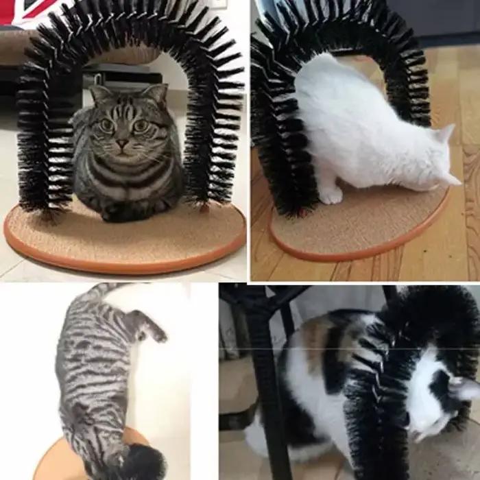 Jouet pour chat arc auto-groome Pamper félin avec un Massage toilettage brosse à friction avec tampo