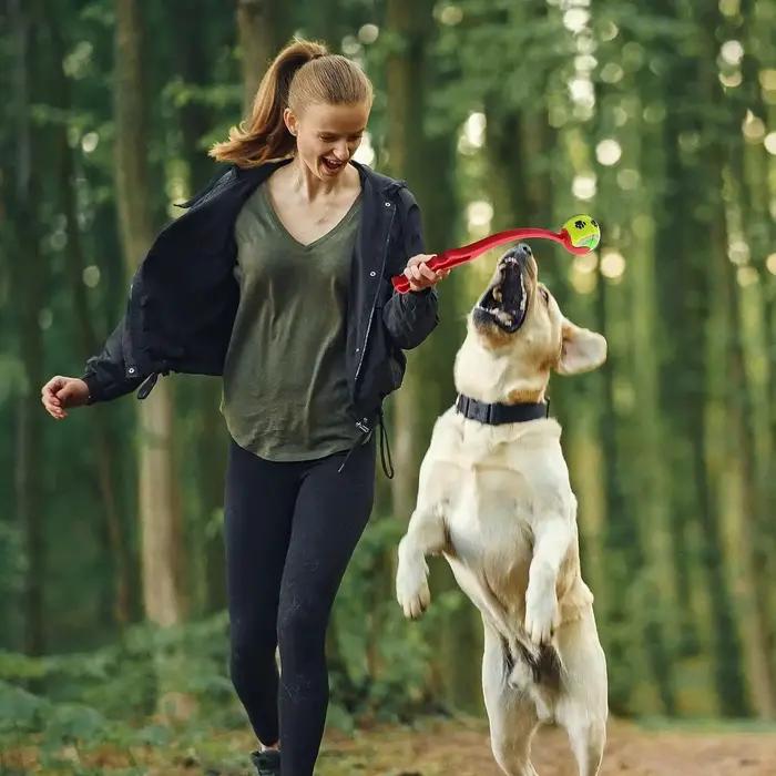 Bâton de lancer pour animaux de compagnie, balle à lancer à la main pour chien, jouets lanceur de Te