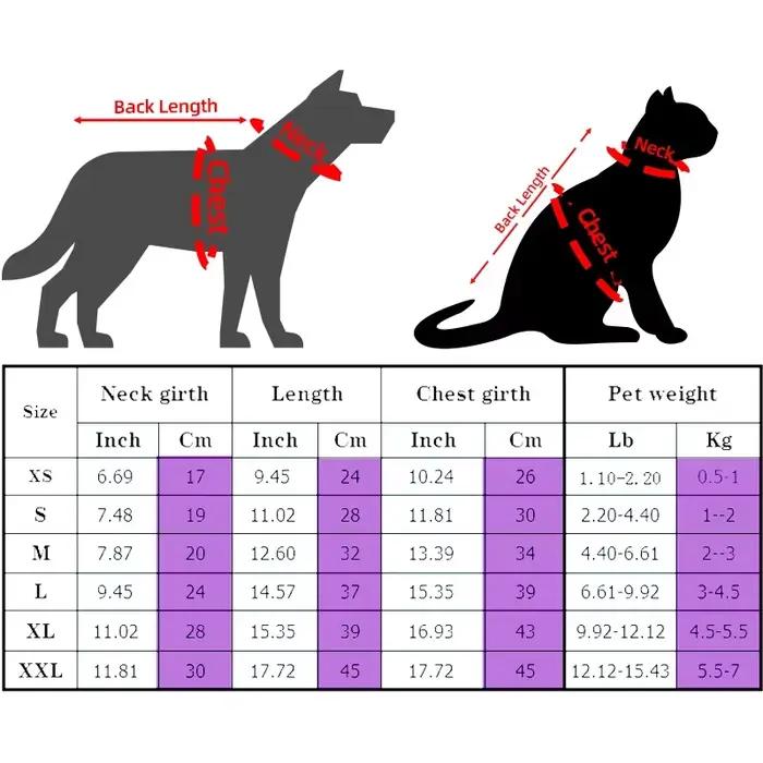 Vêtements à la mode pour chats Sphynx chat pull chaton vêtements chien à capuche vêtements pour Sphi
