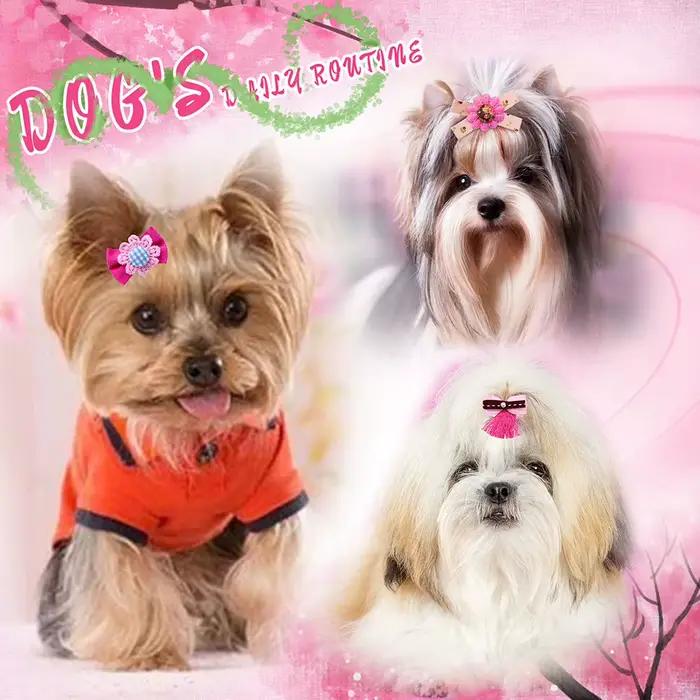 Accessoires de toilettage colorés pour animaux de compagnie, nœuds en caoutchouc, nœud papillon, fle