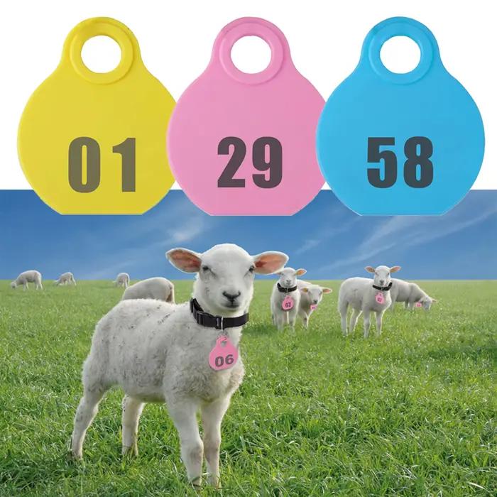 Collier en Nylon réglable pour animaux de compagnie, étiquette volante avec numéro de série Double f