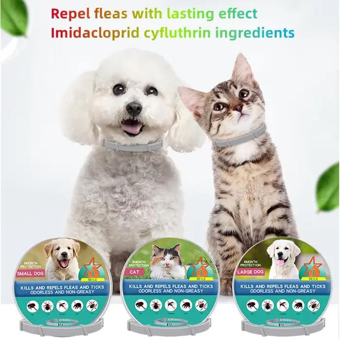 Collier extensible anti-puces pour animaux de compagnie, personnalisé, anti-puces et tiques, grand c
