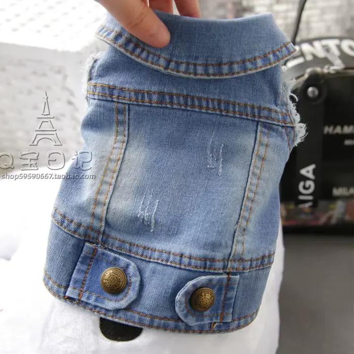 Vêtements pour animaux de compagnie Denim chien Costume été Cowboy gilet marguerite chemise jean ves