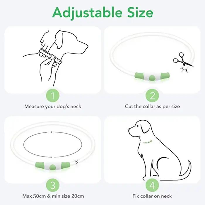 Collier lumineux LED USB pour chien, collier lumineux clignotant DIY, accessoires de sécurité anti-p