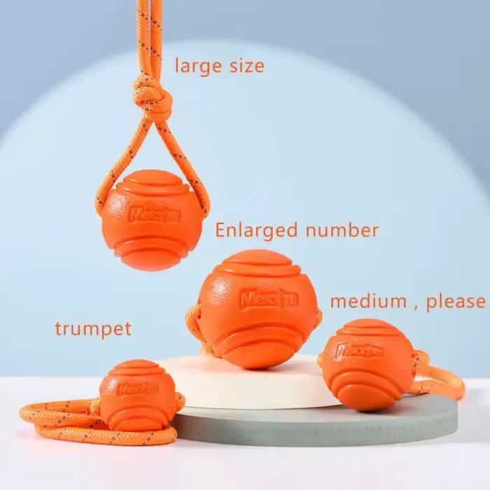 Jouets de balle pour chien, balle en caoutchouc gonflable, jouets à mâcher, balle de jouet pour chie