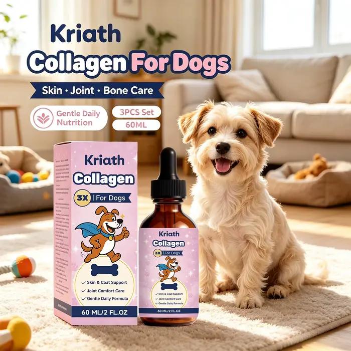 Gouttes de collagène liquide pour chiens améliorent la flexibilité des articulations, renforcent les