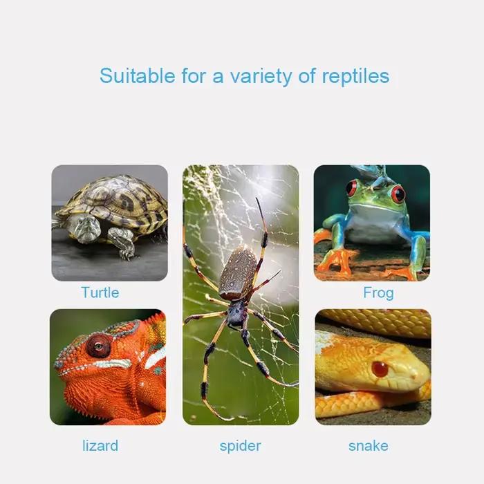 Kit de lampes chauffantes UV remboursables pour animaux de compagnie, support d'ampoule à clipser, é