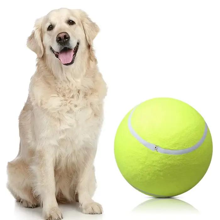 Balle de tennis gonflable pour animaux de compagnie, jouet à mâcher pour chien, jouets interactifs p
