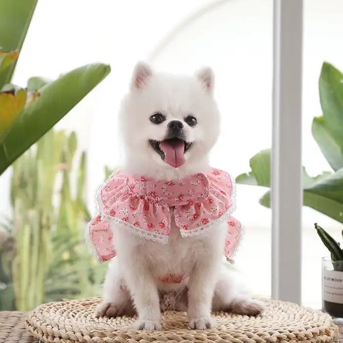 Ensemble Harnais et Laisse en Dentelle Florale pour Chiens et Chats de Petite Taille – Robe Mignonne
