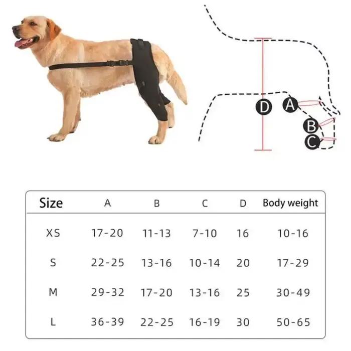 Attelle de soutien des jambes de chien, protection des articulations des hanches et des genoux, prév