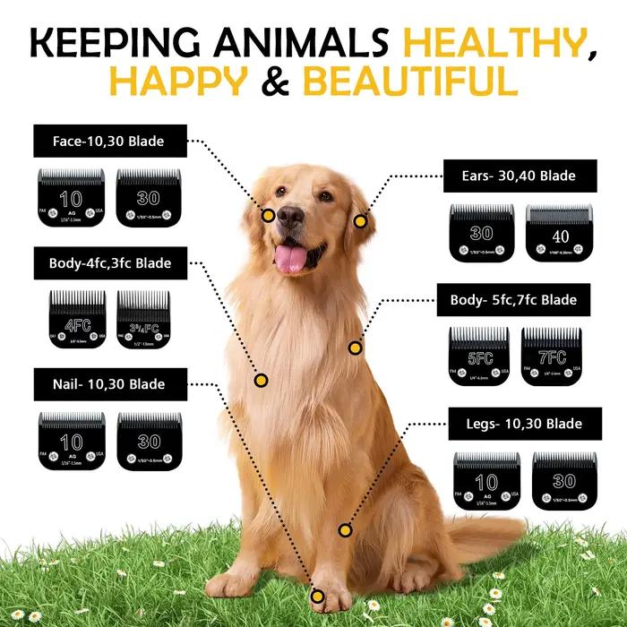 Tondeuse de toilettage noire détachable pour chien, ensemble de lames en acier inoxydable, Compatibl