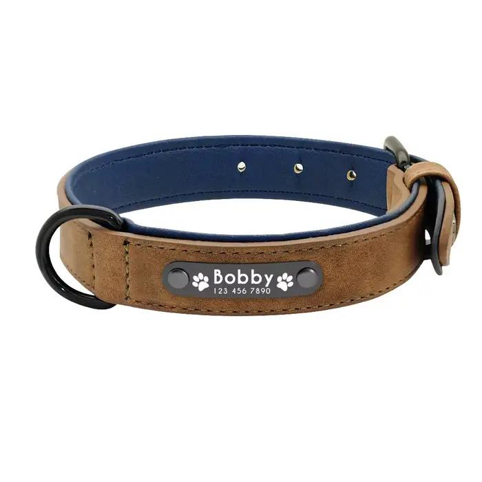 Étiquettes d'identification de nom personnalisées colliers de chien nom de texte personnalisé collie