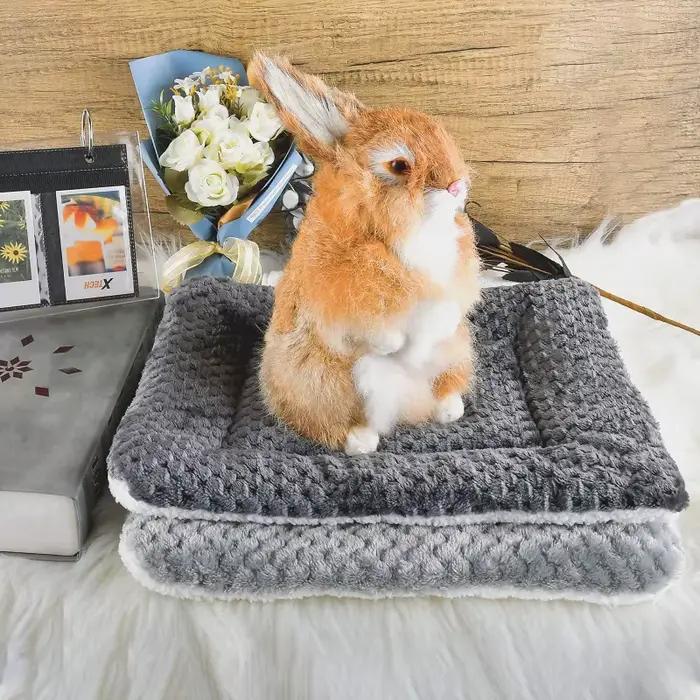 Tapis de lit épais en flanelle pour chien, tapis de couchage doux pour animaux de compagnie, couvert