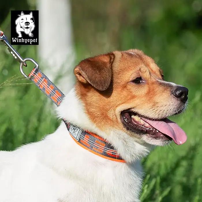 Truelove – collier pour animaux de compagnie, chaîne en Nylon réfléchissant, néoprène rembourré, dem