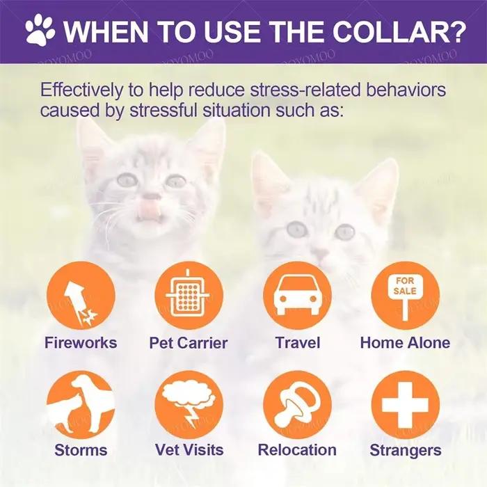 Collier de phéromone apaisant pour chien, nouvelle version, pour soulager l'anxiété, réglable et con