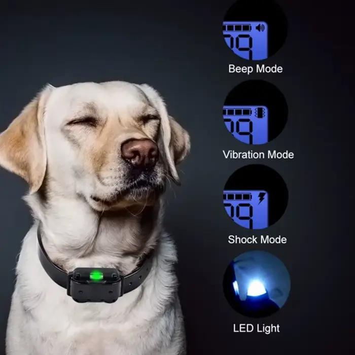 Collier de chien collier de formation pour chien électrique affichage LCD Rechargeable pour collier 