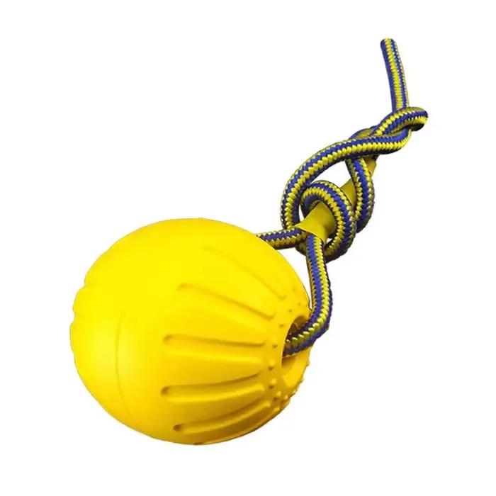 Boule d'Entraînement pour Chien, Jouet Interactif pour Animal de Compagnie, Anneau Côtelé, Degré de 