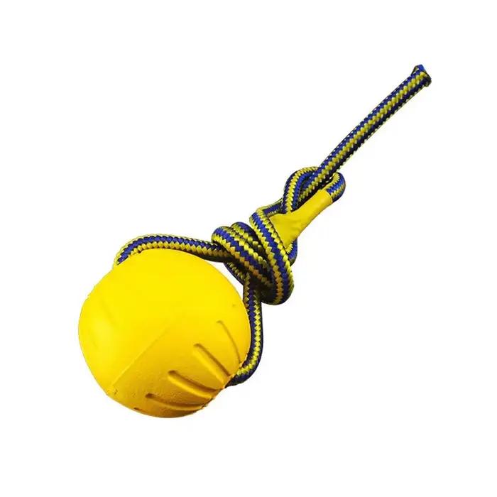 Boule d'Entraînement pour Chien, Jouet Interactif pour Animal de Compagnie, Anneau Côtelé, Degré de 
