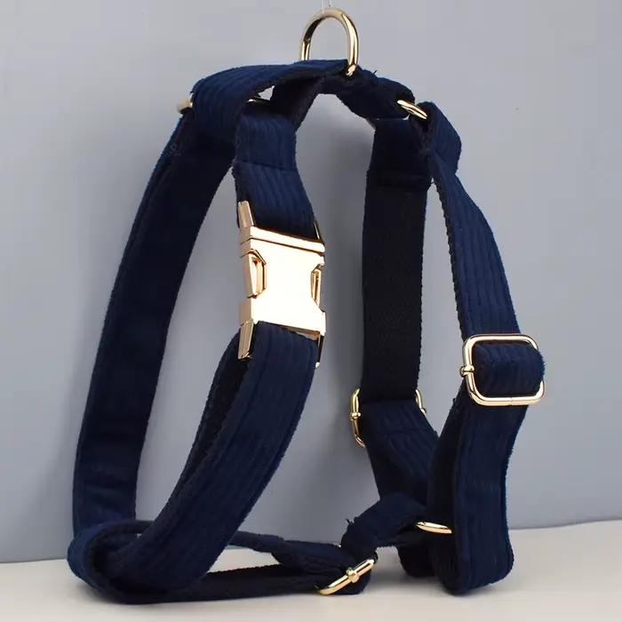 Ensemble collier et laisse pour chien en velours côtelé bleu violacé, plaque nominative gravée sur m