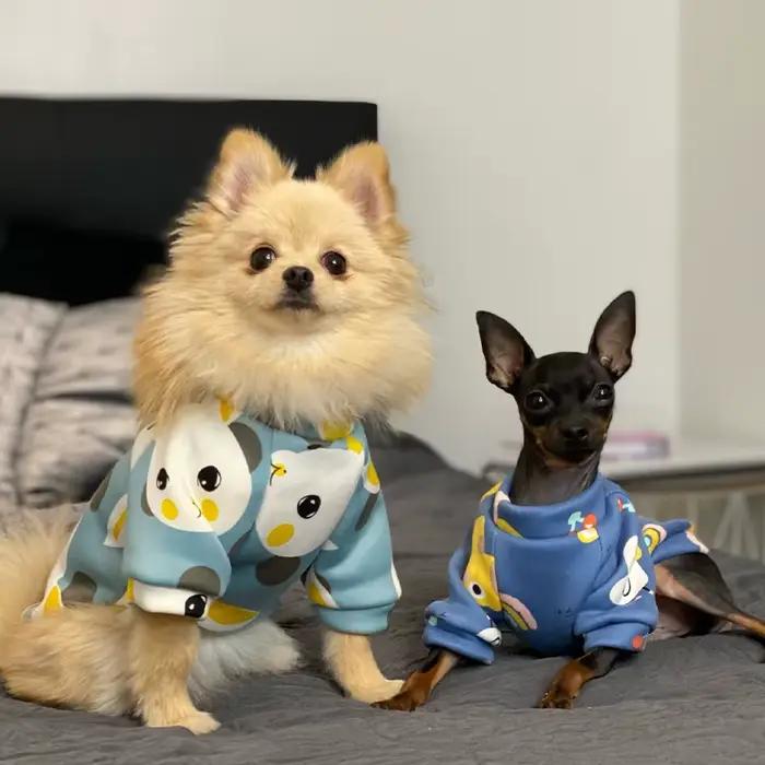 Xs vêtements pour chiens pour petits chiens fille chiot vêtements pour petits chiens garçon chat ves
