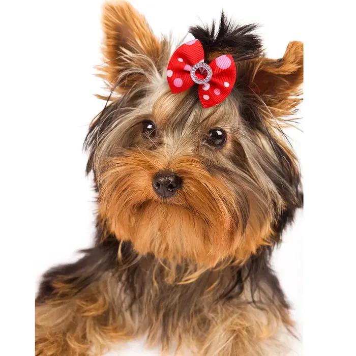 Accessoires de toilettage pour animaux de compagnie, nœud fait main avec élastique, nœuds pour chiot