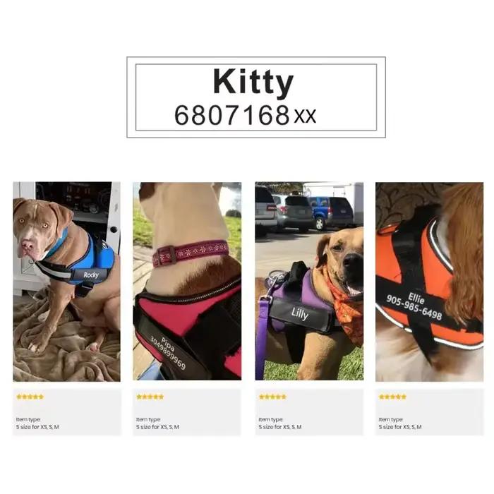 Étiquette autocollante réfléchissante avec nom de chien, 2 pièces, pour collier de harnais pour anim