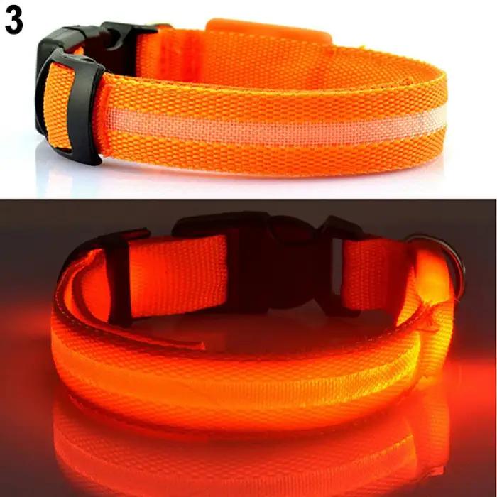 Collier Anti-perte pour chien à LED, lumière LED lumineuse, collier pour animaux de compagnie, pour 