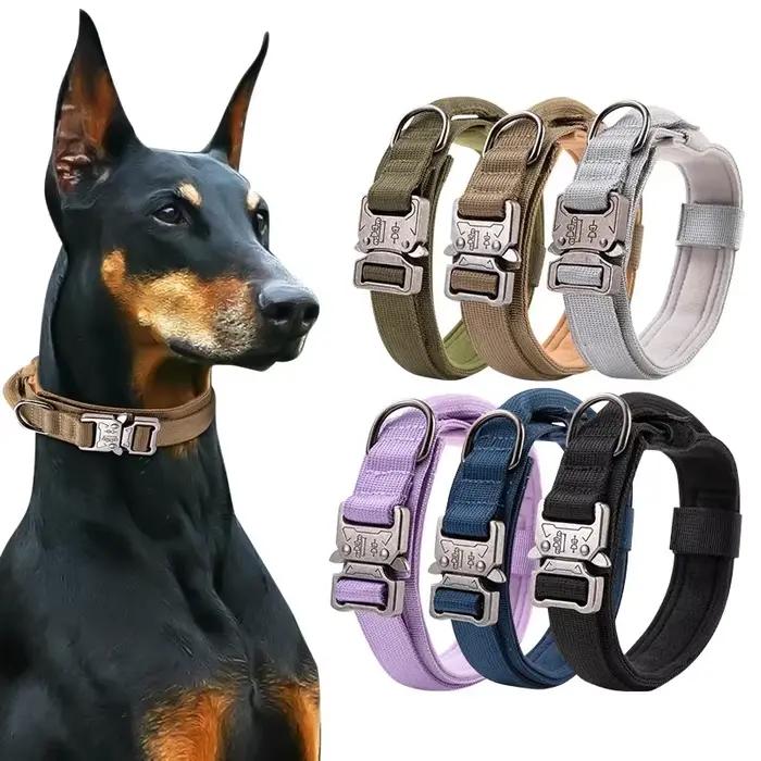 Ensemble de collier de chien durable réglable, laisse militaire pour animaux de compagnie, moyen et 