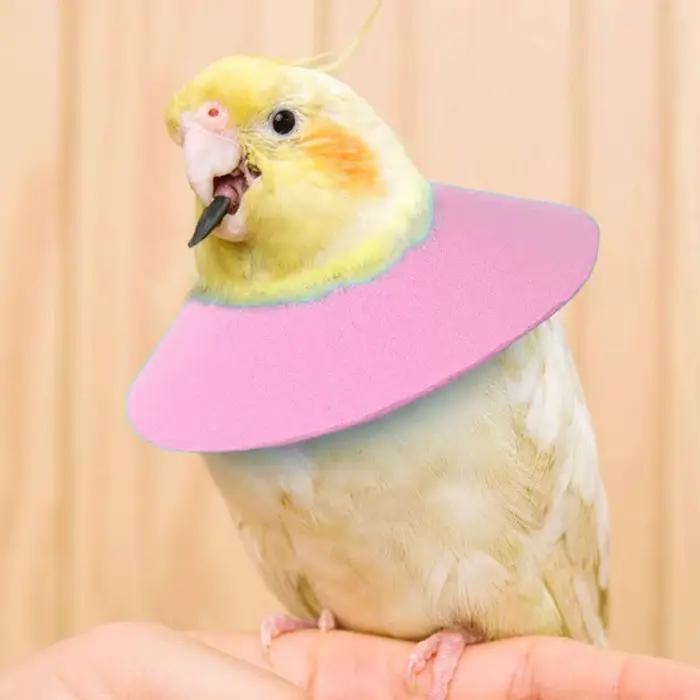 Cône de récupération réglable pour petits animaux – Collier anti-léchage doux et confortable pour le