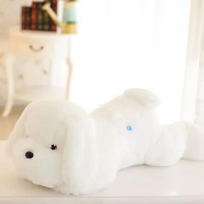 Kawaii – veilleuse créative LED, joli chien en peluche et jouets en peluche, poupée, meilleur cadeau