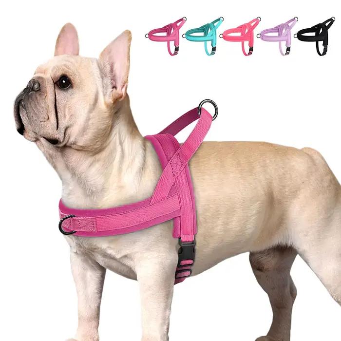 GlaSoft réglable en nylon rembourré pour animaux de compagnie, chien, chat, extérieur, sans côtes, b