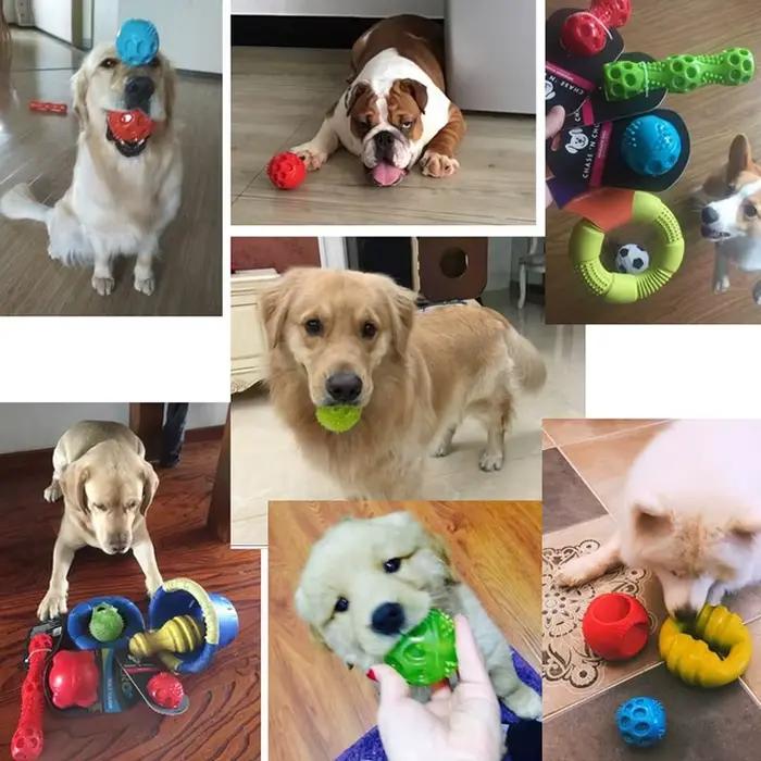 Caiec-Balle rebondisnoyaux grinçante pour chien, jouets durables et flottants, jouets pour animaux d
