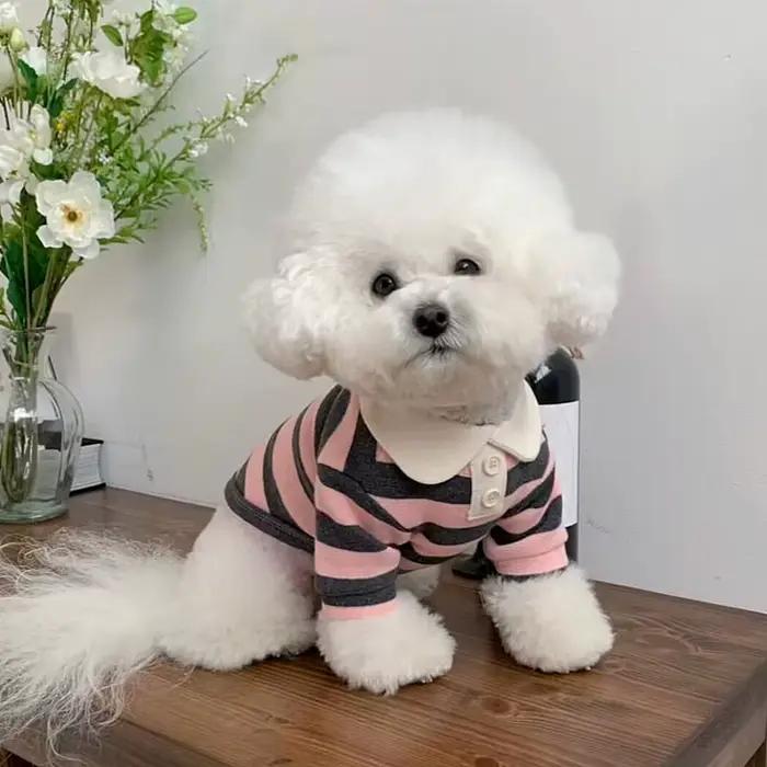 Chemise rayée pour chien, vêtements d'été pour chiot, gilet pour chat mignon, respirant, chemise fin