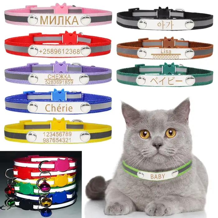 Collier réfléchissant pour chat, identification gravée personnalisée avec cloche, chiot, animal de c