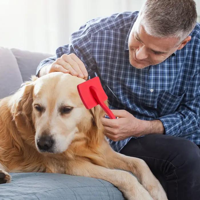 Brosse Professionnelle de Énergie Doux pour Chien et Chat, Broches en Acier Inoxydable, Peigne de Dé