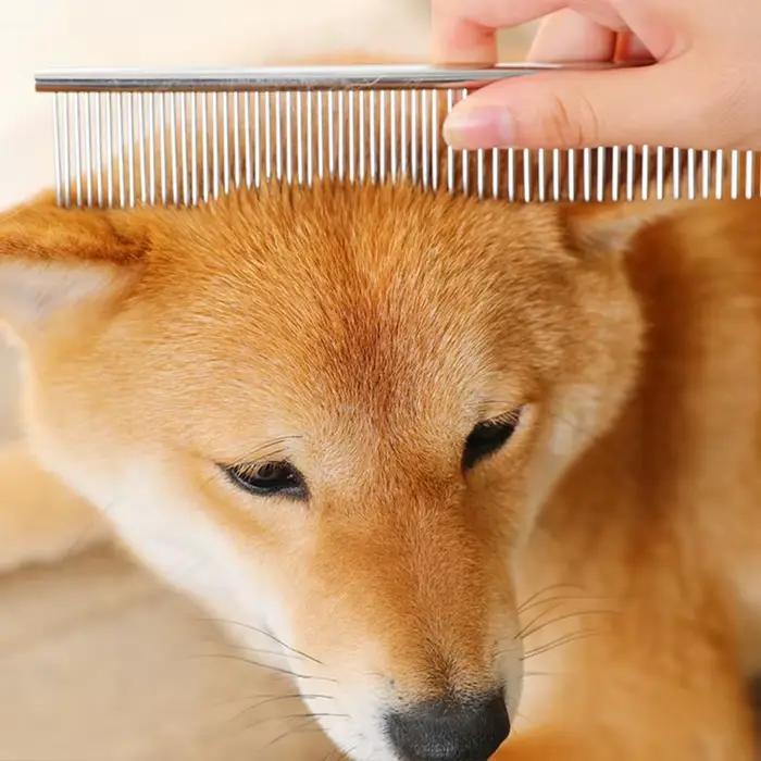 Peigne pour chien en acier inoxydable, brosse d'élimination des poils longs et épais, 16/19cm, peign