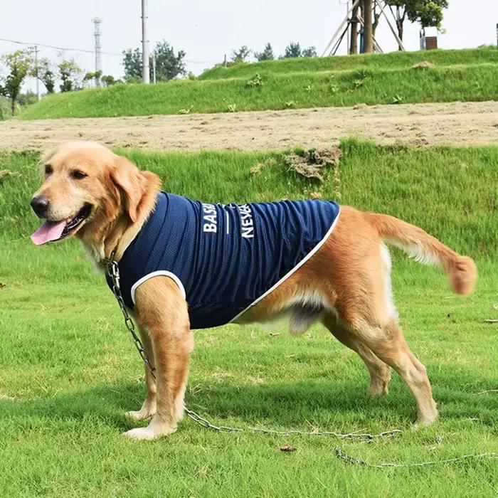 S-6XL vêtements pour chiens chiot Costume pour animaux de compagnie vêtements pour chiens pour petit