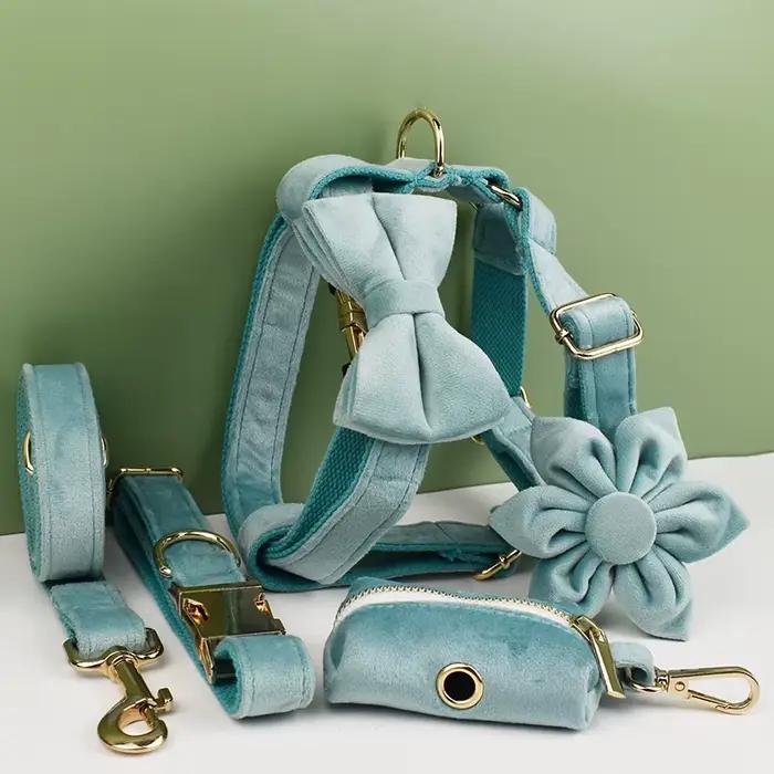 Ensemble collier et laisse pour chien en velours vert, pour chiens de petite, moyenne et grande tail