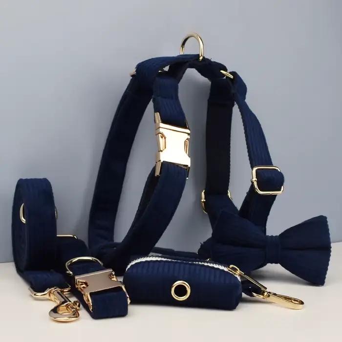 Ensemble collier et laisse pour chien en velours côtelé bleu violacé, plaque nominative gravée sur m