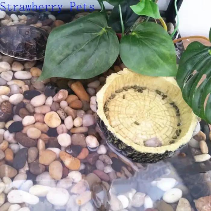 Résine Aquarium animal de compagnie Reptile mangeoire bol bassin alimentaire Pot d'eau Reptile tortu