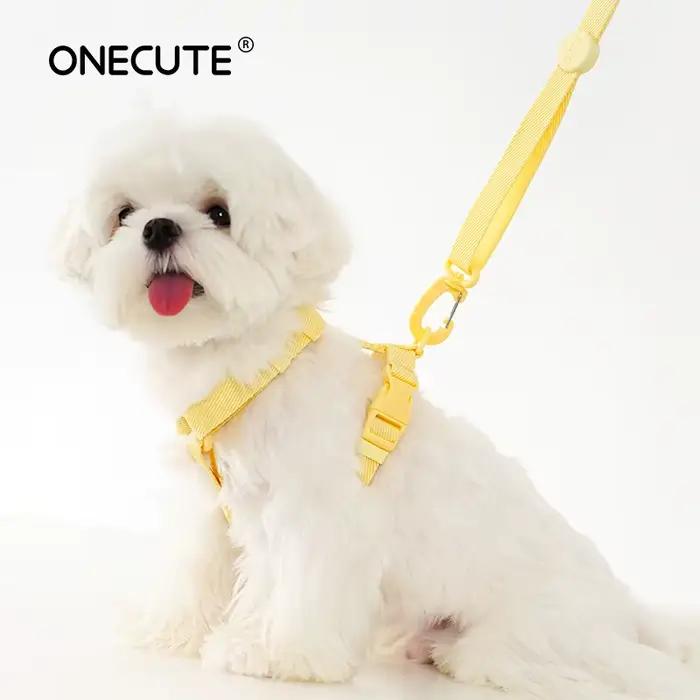 Harnais pour chien, collier pour chien, laisse pour chien, couleur Macarone, accessoires pour chat, 