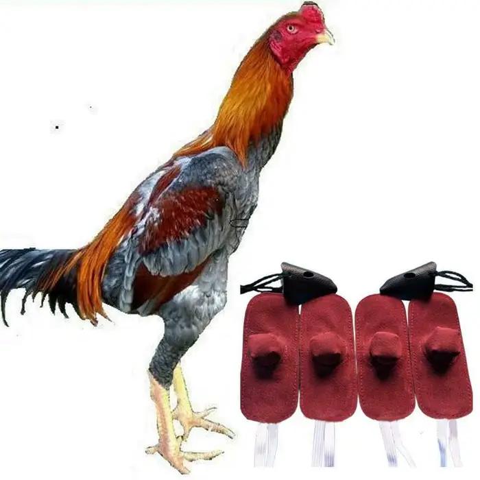 Gant de coq jetable pour la protection des animaux de la ferme, casque de poule, accessoires de coq,