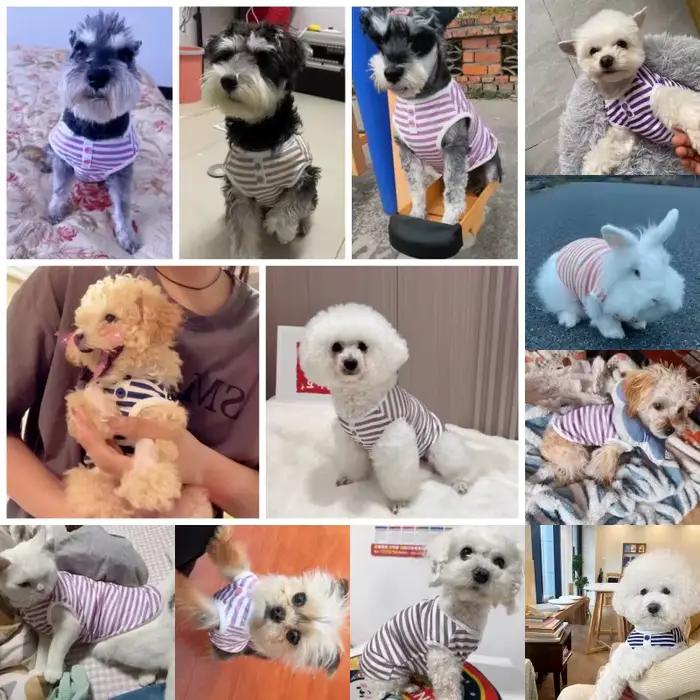 Nouveau chien de compagnie rayé sweat chien vêtements pour petits chiens chiot vêtements d'été doux 