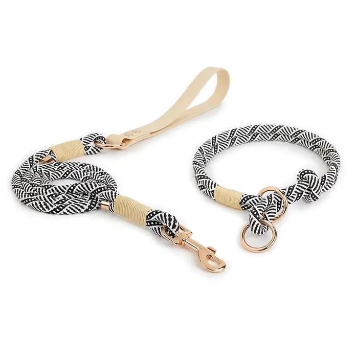 Ensembles de colliers et de laisses en Nylon antidérapant, anneau de cou pour animaux de compagnie, 