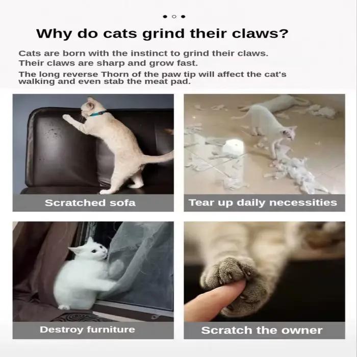 Planche à Gratter Ondulée pour Chat, Plaque à Griffes de Meulage + Tampon de Papier à Cataire, Cadre