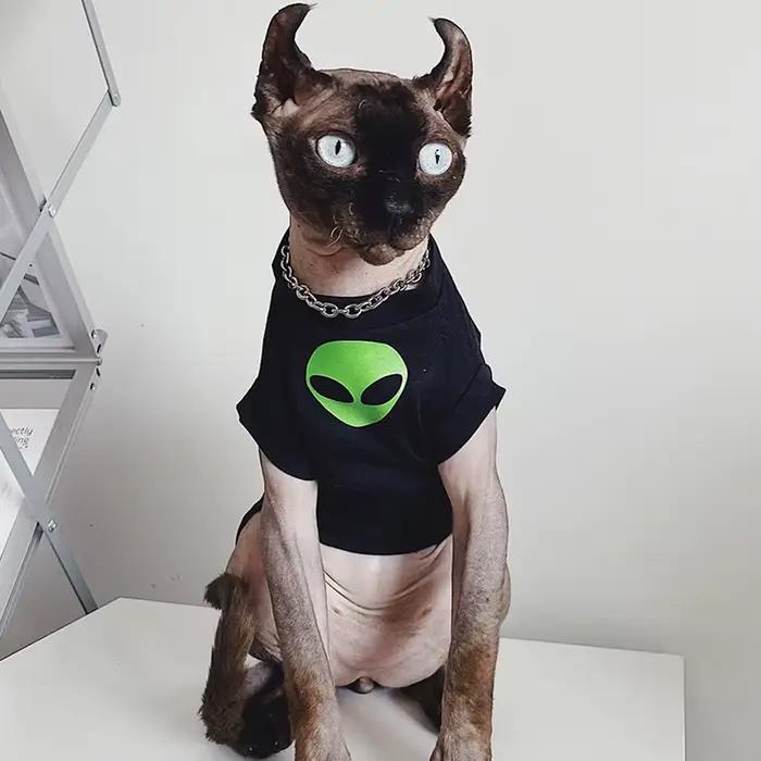 Vêtements Alien Sphynx pour animaux de compagnie, vêtements pour chat sans poils, t-shirt en coton G