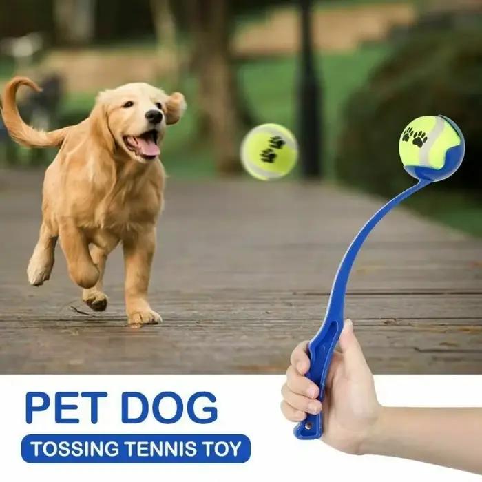 Bâton de lancer pour animaux de compagnie, balle à lancer à la main pour chien, jouets lanceur de Te