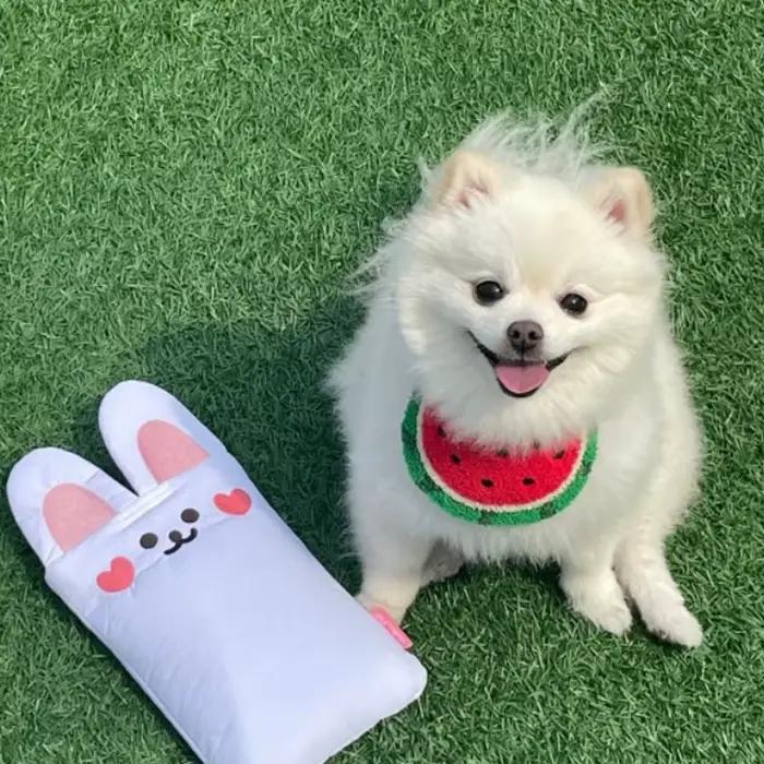 Bavoir anti-salive pour animaux de compagnie, pour chien et chat, motif dessin animé pastèque, acces
