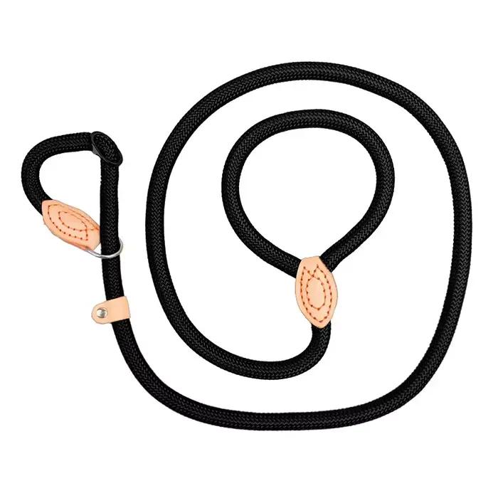 Laisse de marche pour chien, corde antidérapante, laisse en plomb, corde tressée robuste, collier à 